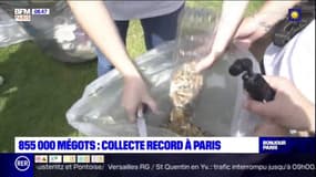Paris: 850.000 mégots ramassés en trois heures