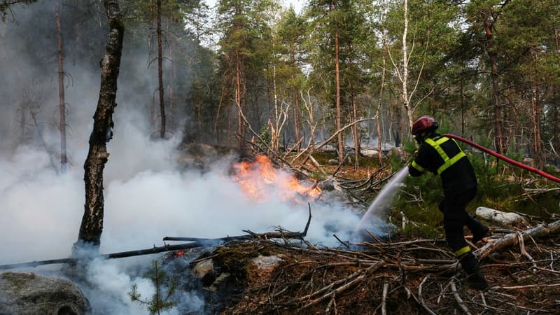 DIRECT. Incendies: deux suspects ont reconnu leur implication dans les départs de feu à Fontainebleau