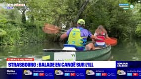 C beau chez nous: une balade en canoë sur l'Ill, à Strasbourg