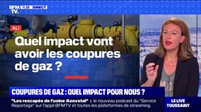 Quel impact vont avoir les coupures de gaz? BFMTV répond à vos questions