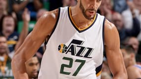 Rudy Gobert