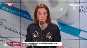 Allez-vous faire attention à votre consommation d'énergie cet été ? Barbara Lefebvre : "Les gens font devoir subir la sobriété par la contrainte !"