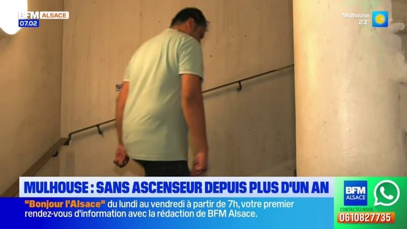 Mulhouse: les ascenseurs de cette tour de 14 étages en panne depuis plus d'un an