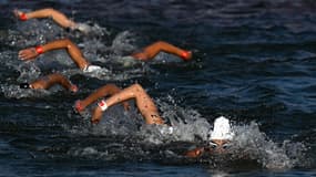 Océane Cassignol lors du 10km nage en eau libre lors des JO de Paris 2024, le 8 août 2024