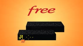 Free défie la concurrence avec sa Freebox Révolution Light à moins de 20 euros par mois