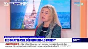 Tour Triangle: la présidente de SOS Paris regrette de ne pas avoir pu faire appel de la décision