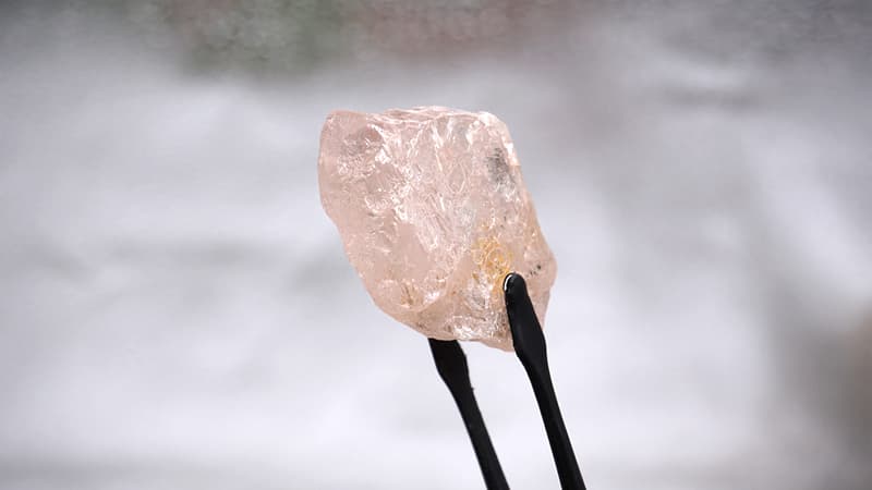 Des mineurs en Angola ont extrait un rare diamant rose pur, considéré comme le plus gros à être découvert dans le monde depuis 300 ans,