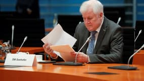 le ministre fédéral de l'Intérieur, Horst Seehofer, le 11 novembre 2020 à Berlin