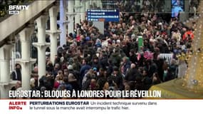 Eurostar: des nombreux Français bloqués à Londres pour le réveillon