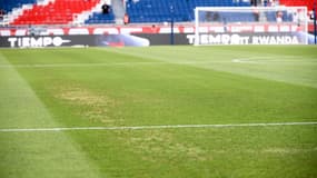 L'état de la pelouse du Parc des Princes, avant PSG-Angers, le vendredi 22 août 2025
