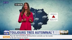 Météo Paris-Ile de France du 9 janvier: Un temps maussade mais doux