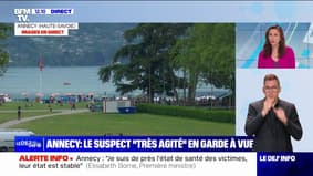 Annecy: la garde à vue de l'auteur de l'attaque est prolongée 