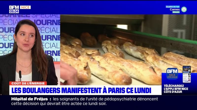 Coûts de l'énergie: Coûts de l'énergie: les boulangers manifestent à Paris