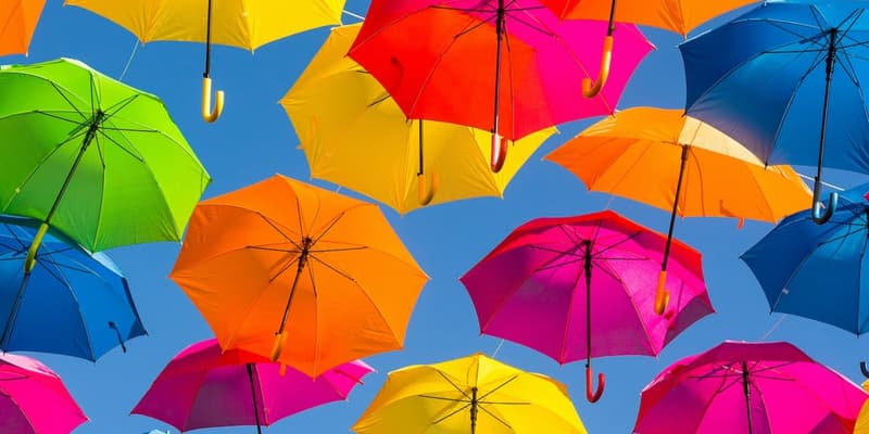 5 parapluies de qualité à moins de 25€ pour être à l'abri cette année