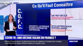 Covid-19: quelle est la situation de l'épidémie en France et en particulier en Guyane ?