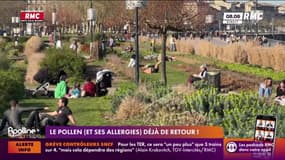 Le pollen et ses allergies déjà de retour