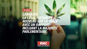 Légalisation du cannabis : l’État doit-il reprendre la main sur la production et la vente?