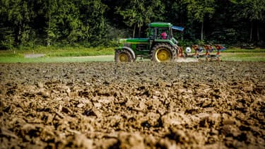 Le montant des baisses de cotisations sociales pour les agriculteurs devrait atteindre 180 millions d'euros selon Stéphane Le Foll.