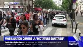 Une mobilisation contre la "dictature sanitaire" s'élance à Paris