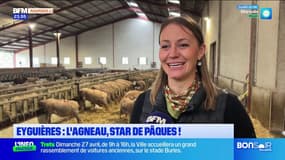Eyguières : l'agneau, star de Pâques !