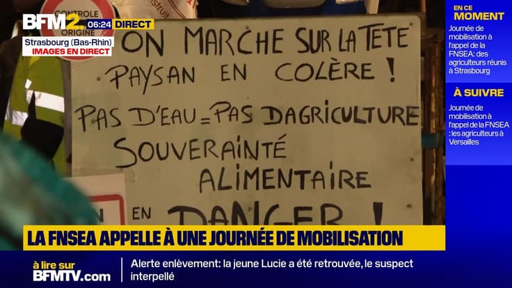 Journée de mobilisation à l'appel de la FNSEA: des agriculteurs déjà mobilisés à Strasbourg