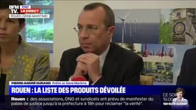 Rouen: "la liste des produits présents a été établie et sera mise en ligne dès cet après-midi" (préfet)