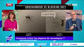 On n'arrête pas le progrès : Comment éviter les piqûres de moustiques ? - 26/06