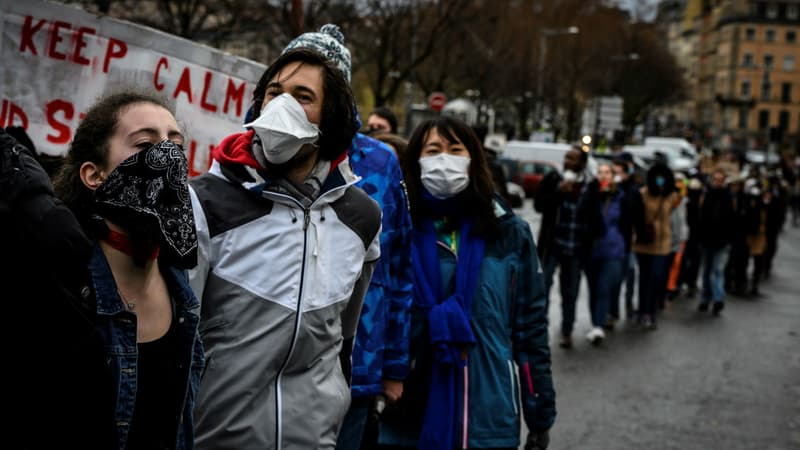 Marche pour le climat à Lyon, le 27 janvier 2019