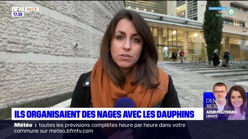 Grasse: trois chefs d'entreprises jugés pour avoir organisé des excursions illégales avec des dauphins
