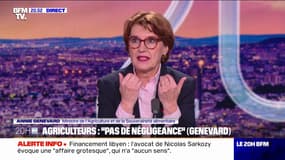 Colère agricole: "Pas de violence, pas de blocage, ne pas s'en prendre ni aux biens ni aux personnes", demande Annie Genevard