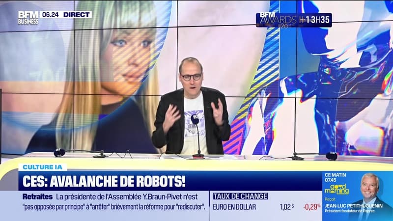 Culture IA : CES, avalanche de robots, par Anthony Morel - 13/01