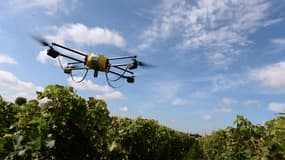 Les viticulteurs font appel aux drones pour vérifier la maturité du raisin. 