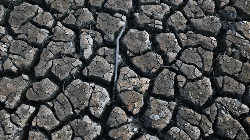 Le sol craquelé en raison de la sécheresse près du réservoir d'eau Sau, à Gérone, en Espagne, le 16 janvier 2024