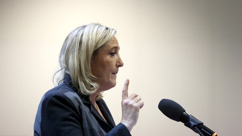 Marine Le Pen lors d'un meeting à Bordeaux le 1er février 2014.