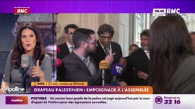 A vous de nous dire : Drapeau palestinien, empoignade à l'Assemblée - 29/05