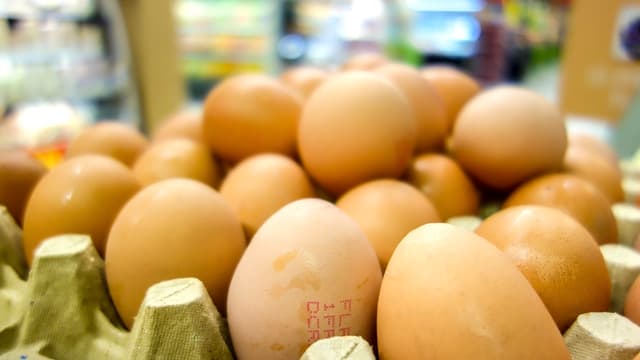 Des traces d'amitraze recherchés dans les oeufs
