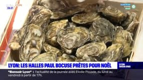 Lyon: les halles Paul Bocuse prêtes pour Noël