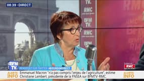 Christiane Lambert (FNSEA): "80% des viandes dans les cantines sont des viandes importées"