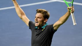David Goffin 