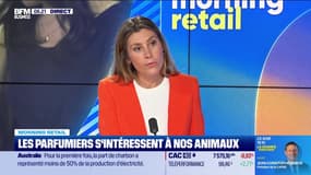 Morning Retail : Les parfumeurs s'intéressent à nos animaux, par Eva Jacquot - 04/09