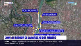 La marche des fiertés est de retour ce samedi à Lyon et elle ne fait pas l'unanimité, au sein même de la communauté LGBT