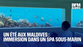  Un été aux Maldives : immersion dans un spa sous-marin  