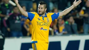 André-Pierre Gignac (Tigres)