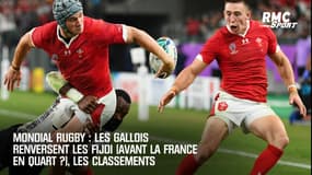 Mondial rugby : Les Gallois renversent les Fijdi  (avant la France en quart ?), les classements