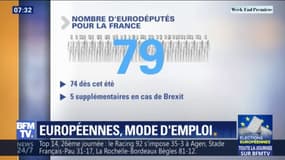 79 députés à élire parmi 34 listes... Quelles sont les grandes règles du scrutin des européennes en France ?