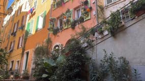 Depuis 2020, Jean-Jacques a décidé de végétaliser sa rue à Nice pour déloger les dealers