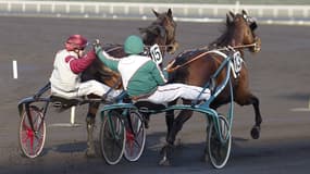 Ready Cash et Maharajah