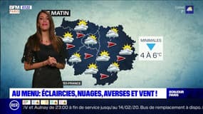 Météo Paris-Ile de France du 11 février: Éclaircies, nuages, averses et vent au menu de ce mardi