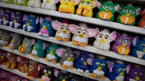 Des jouets Furby, à New York (États-Unis) le 27 février 2016.