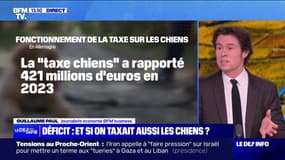 Une taxe pour les propriétaires de chien - 16/10